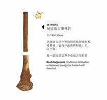 Derreterre root-shaped Dijridu tube Didgeridoo imported Australian musical instrument eucalyptus wood