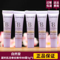 Nature Hall bb small sample snow Moisturizing Essence Cream 5G * 5 water moisturizing concealer isolation nude makeup