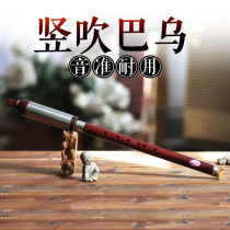 Otterhai Beginner Musical Instrument Professional Playing Bau Vertical Blowing Resin F-Tuned G Thickened Reed