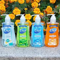 DIAL ANTIBACTERIAL HAND SOAP LIQUID FOR CHILDREN