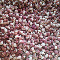 2021 new flower cowpea ginger bean rice bean flower river bean 500g flower cowpea grains 5kg