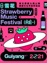 (Guiyang) Snowflake · 2021 Guiyang Strawberry Music Festival Tickets New Pants