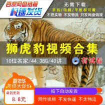 Chinese painting animals beasts freehand brushwork tiger lion and leopard painting teaching video tutorial