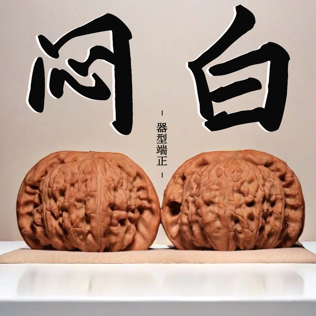 闷尖白狮子-闷尖白狮子促销价格、闷尖白狮子品牌- 淘宝