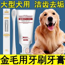 Golden Hair Special Toothbrush Toothpaste Suit Pooch Clean Teeth Tool Mouth Mouth Stenostomy Big Dog Supplies