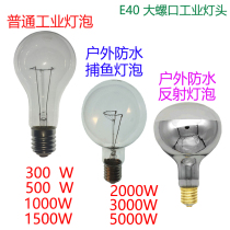 High power industrial bulb outdoor waterproof bulb underwater bulb 300W500W1000W5000W10 one