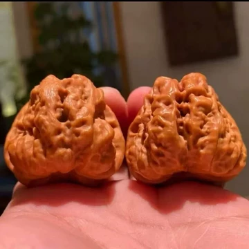 文玩堂：延庆蝦蟇頭蟾王（46mm）無修整【特壳3天】 延庆蛤蟆头核桃-延庆蛤蟆头核桃促销价格、延庆蛤蟆头核桃品牌- 淘宝