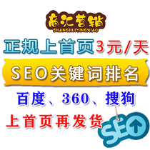 Search engine website SEO ranking Promotion Marketing optimization Home page push baidu keyword ranking Software tools