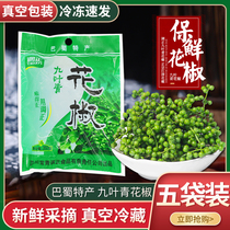 Sichuan specialty vacuum refrigerated fresh pepper Jiuye green pepper fresh rattan pepper cook hot pot 350g * 5 bags