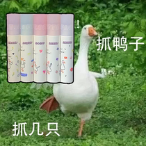 FLORTTE Floria lip MUD Duck Duck lip glaze lipstick Nude eat earth lip gloss Matte matte lip gloss