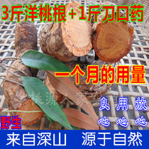3kg of wild kiwifruit root male angtao carambola Vine pear root and 1kg small leaf stone reed knife mouth medicine 30 month volume