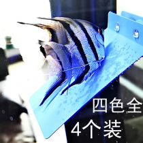 Aquarium pet supplies ornamental fish incubator colorful fairy swallow fish breeding spawning board tank four-color fish tank equipment