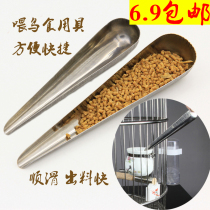 Bird Feeders Bird Feeders Bird Feeders Bird Feeders Bird Feeders Bird Feeders Bird Feeders Bird Feeders Bird Feeders Bird Feeders Bird Feeders Bird Feeders Bird Feeders Bird Feeders Bird Feeders Bird Feeders Bird Feeders
