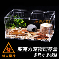 Acrylic feeding box high transparent magnetic buckle box assembled anti-prison escape landscape box hermit crab integrated cylinder