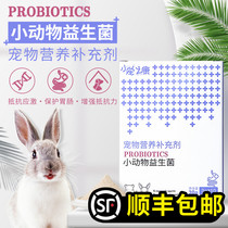 Xiaobetzhikang pet probiotics Rabbit Totoro Guinea pig to improve diarrhea and constipation Nutritional supplement 3g*10 packs