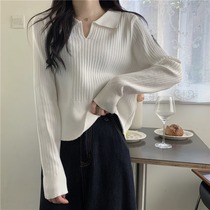 polo collar hitch knit undershirt female spring 2022 new design sensation small crowdsweater loose long sleeve blouse