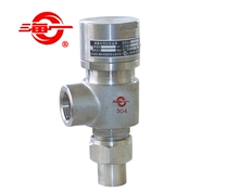 Haiyi Valve A21W-16P DN20304 Stainless Steel CF8 Spring Micro-Open Safety Valve Gas Tank Boiler