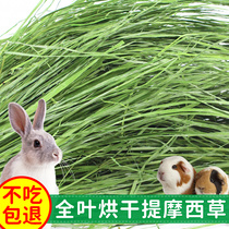  2021 High-quality Nantian grass 1kg dried Timothy grass Rabbit Dutch pig Chinchilla forage leaves fragrant and tender green