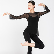 Clearance Danshio elastic net dance clothing super beauty practice outer shirt classical dance horn sleeve length top WE01119