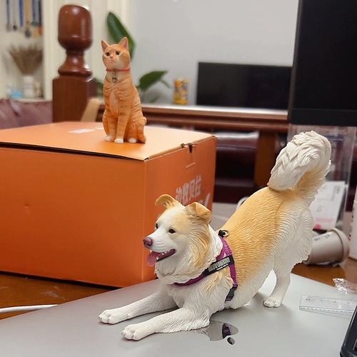 [Семья Беллы] Белла и двенадцатилетнядянка