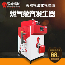 Shuangfeng gas boiler steam generator commercial diesel natural gas steam energy saving anti-burning industrial large fuel oil