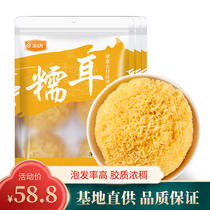 Golden Tang Gutian Glutinous Ears 250g*3 packs of white fungus snow fungus Fresh silver fungus Lotus seed soup Material Dry ugly ears