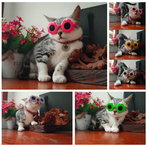 Cat sunglasses cat glasses pet dog head jewelry love Teddy than bear beauty short photo shake sound ins Net Red