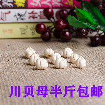 Chuanbei non-wild Fritillaria Fritillaria fritilla pearl shellfish rice shell 250g beaten powder