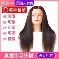 Hairdressing head model real hair practice head barber shop haircut model head full real hair dummy head mold can roll hot doll head