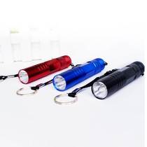Mini Pocket Small Flashlight No. 5 Battery Childrens Kindergarten Morning Light LED Oral Light