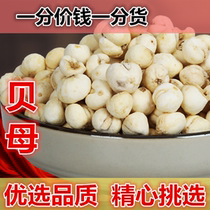 Authentic Fritillaria Flat Fritillaria 500g Non-Chuanbei Powder Chuanbeimu Zhejiang Fritillaria