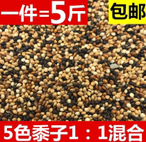 Tiger skin Peony Xuanfeng Small and medium-sized parrot Bird food feed Five-color millet parrot mixed nutritional food Millet