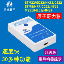 Punctuality Atom Mini-Pro Offline Downloader STM32 GD32 STM8 Offline Programming Programmer