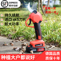 German PAKE Lithium electric scissors Fruit tree pruning shears rechargeable powerful garden hand-held electric shears