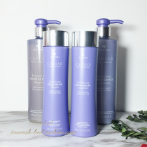 Spot American Alterna Caviar Caviar Rx Microneedle Instant Repair Shampoo Conditioner Set