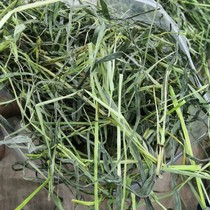 21 years of drying Timothy Hay rabbit Dutch pig drying North feed guinea pig ChinChin forage 500g