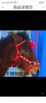 Horse accessories equestrian supplies forehead handmade harness camel mule can be customized