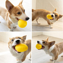 Dog toy ball Sound Pet boredom Bite-resistant Puppy Training Golden Retriever Teddy Molar puppy Corgi Supplies