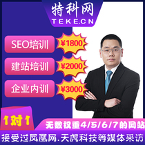 SEO optimization Website construction training One-on-one enterprise website rapid ranking