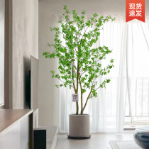 Hanging clock simulation green plant living room large-scale floor-to-ceiling potted interior decoration ornaments bionic horse drunk wood plant simulation tree