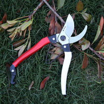 Wang Wuquan flower scissors gardening scissors pruning scissors 2202 household imported SK5 rough scissors German fruit tree scissors