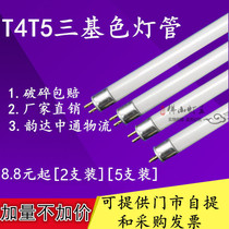 T4 mirror headlight fluorescent tube long strip household bath bully old-fashioned three primary color bathroom T5 thin fluorescent tube small 8w