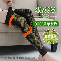 Long Wormwood self-heating warm knee old cold leg men and women middle-aged hot moxibustion physiotherapy cold knee set autumn and winter