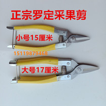 Luoding brand stainless steel scissors Branch fruit tree fruit scissors Fruit picker Fruit picker Sugar orange fruit cutters