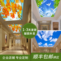 3d art glass ceiling Living room Dining hall Corridor Aisle decoration Ice crystal painting ceiling partition screen