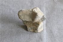 Chishi original stone pendulum piece natural original ecological ornamental stone stone bonsai stone morphology varied and anecdotal