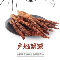 Evergreen grass nourishing 10 special grade cistanche top Tianzhu bubble wine material Male mountain bract rice lock Yang column when rejuvenating grass