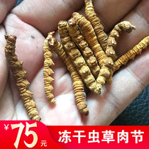 Buy 10 get 1 Tibet Nagqu Cordyceps sinensis big broken grass meat festival Super freeze-dried Cordyceps 1g