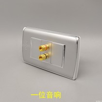Silver gray type 118 one audio panel double-headed 2-hole speaker Silver 5 1 surround audio socket audio