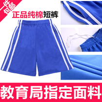 Shenzhen school uniform Middle school students sportswear Mens and womens summer shorts have rope school pants summer pants cotton cloth
